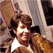 vuoi migliorare i tuoi voti? contattatami e in poco tempo ce la farai